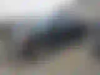 Vehicle Image- 2014 Ford F-150