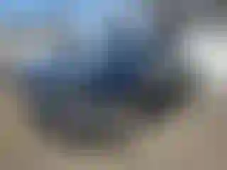 Vehicle Image- 2015 Ford F-150