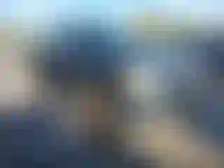 Vehicle Image- 2012 Ford F-150