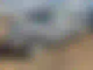 Vehicle Image- 2011 Ford F-150