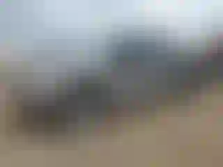 Vehicle Image- 2013 Ford F-150