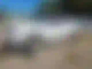 Vehicle Image- 2013 Ford F-150