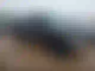 Vehicle Image- 2012 Ford F-150