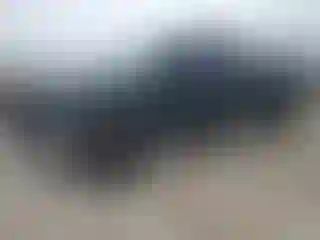 Vehicle Image- 2010 Ford F-150