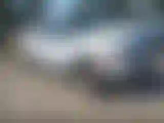 Vehicle Image- 2010 Ford F-150