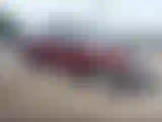 Vehicle Image- 2010 Ford F-150