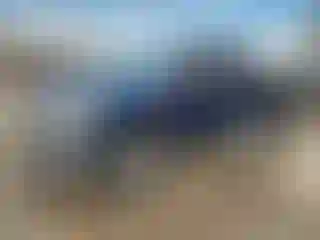 Vehicle Image- 2010 Ford F-150