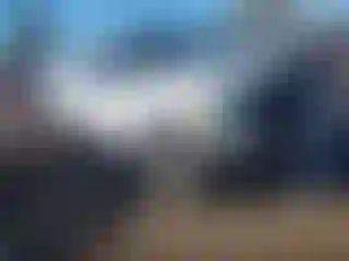 Vehicle Image- 2010 Ford F-150