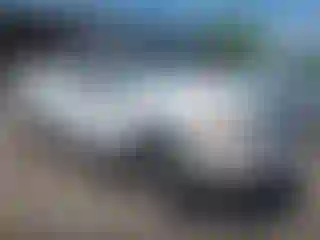 Vehicle Image- 2010 Ford F-150