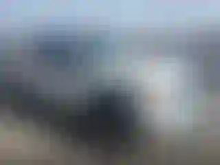 Vehicle Image- 2010 Ford F-150