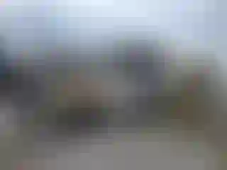 Vehicle Image- 2010 Ford F-150