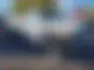 Vehicle Image- 1986 Ford F-250