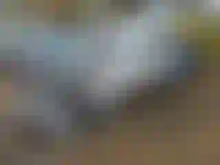 Vehicle Image- 1997 Ford F-250