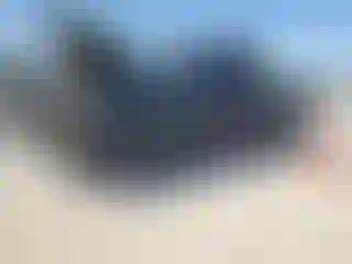 Vehicle Image- 1996 Ford F-250