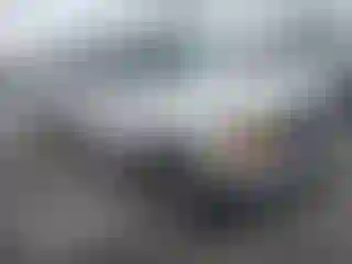 Vehicle Image- 1995 Ford F-250