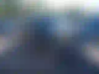 Vehicle Image- 1995 Ford F-250