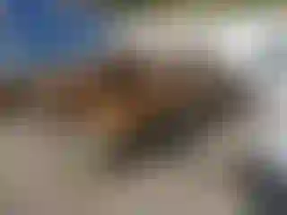 Vehicle Image- 1996 Ford F-350