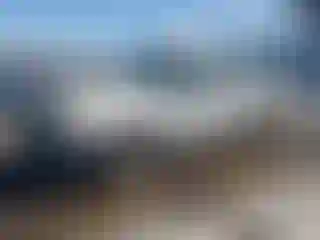 Vehicle Image- 2010 Ford Ranger