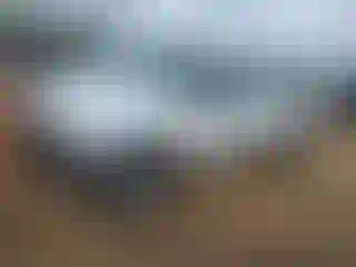 Vehicle Image- 2011 Ford Ranger