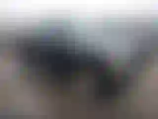 Vehicle Image- 2010 Ford Ranger