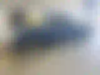 Vehicle Image- 2011 Ford Ranger