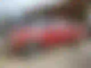Vehicle Image- 2010 Ford Ranger