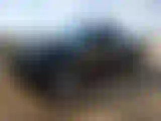 Vehicle Image- 2010 Ford Ranger
