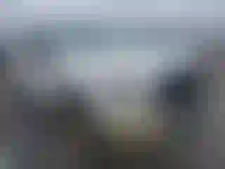 Vehicle Image- 2017 Ford F-150