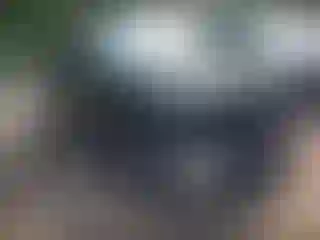 Vehicle Image- 2017 Ford F-150
