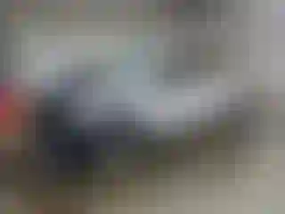 Vehicle Image- 2019 Ford F-150