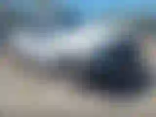 Vehicle Image- 2013 Ford F-150