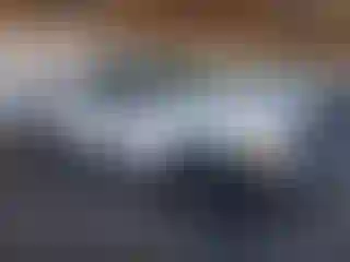 Vehicle Image- 2014 Ford F-150