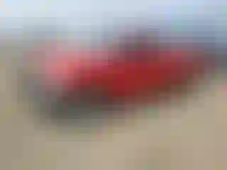 Vehicle Image- 2011 Ford F-150