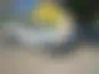 Vehicle Image- 2016 Ford F-150