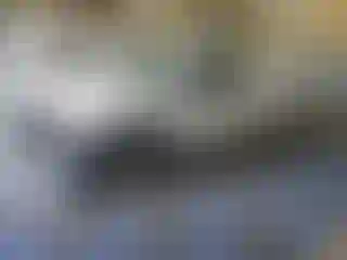 Vehicle Image- 2018 Ford F-150