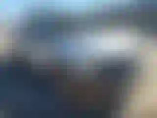 Vehicle Image- 2019 Ford F-150