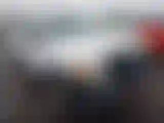 Vehicle Image- 2010 Ford F-150