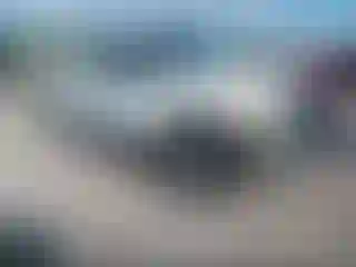 Vehicle Image- 2010 Ford F-150