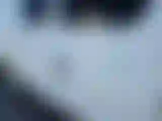 Vehicle Image- 2011 Ford ECONOLINE