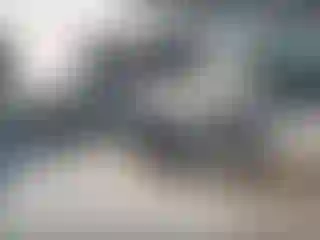 Vehicle Image- 2013 Ford E-Series