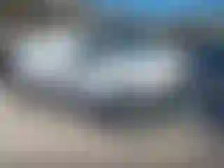 Vehicle Image- 2011 Ford E-Series