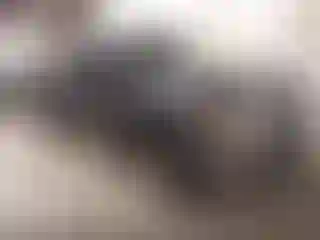 Vehicle Image- 2011 Ford F-150