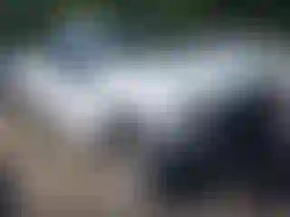 Vehicle Image- 2017 Ford F-150