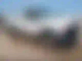 Vehicle Image- 2009 Ford F-250