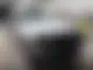 Vehicle Image- 2005 Ford F-250