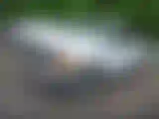 IMPORTOWO.pl