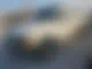 Vehicle Image- 2000 Ford F-250