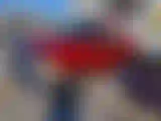 Vehicle Image- 1999 Ford F-250