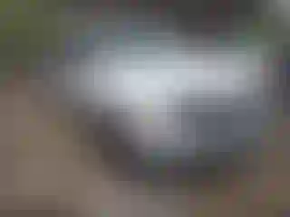 Vehicle Image- 2004 Ford F-250