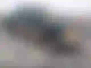 Vehicle Image- 1999 Ford F-250